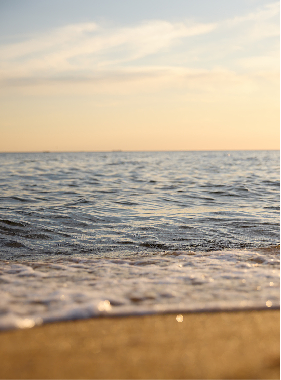 Brighton Beach